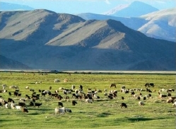 Altai 2